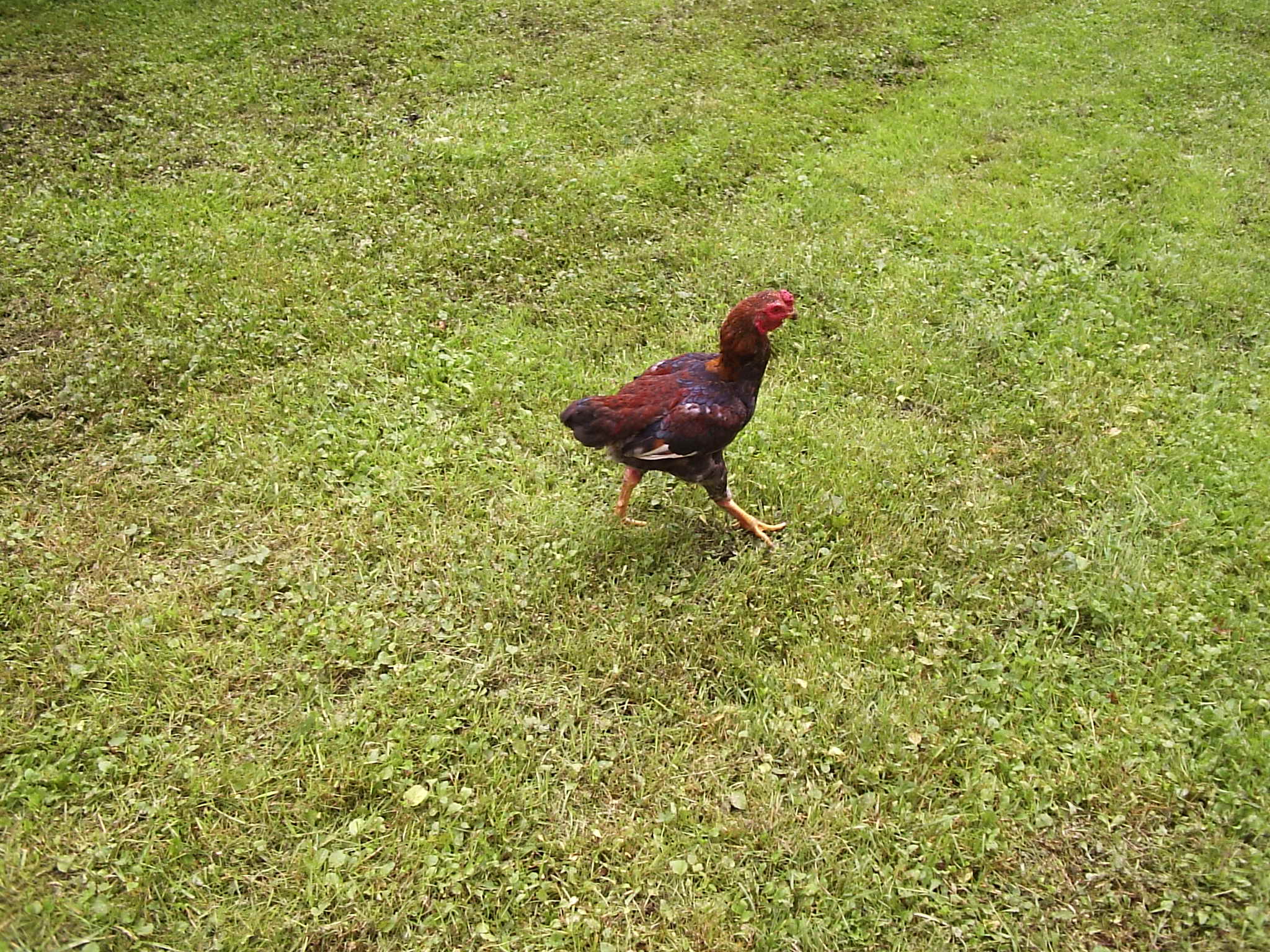 P1170022.JPG